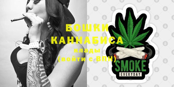 индика Протвино