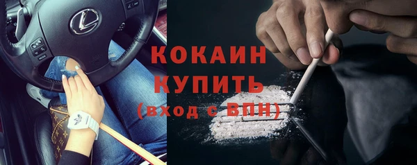 индика Протвино