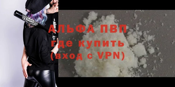 эйфоретик Богданович