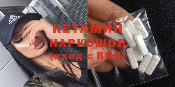индика Бородино