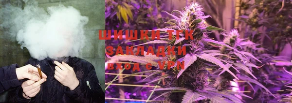 эйфоретик Богданович