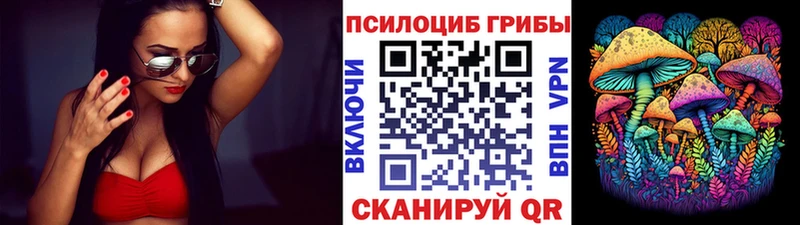 наркошоп  Туран  мега рабочий сайт  Псилоцибиновые грибы GOLDEN TEACHER 