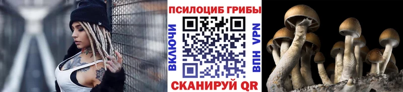 Псилоцибиновые грибы Magic Shrooms Туран